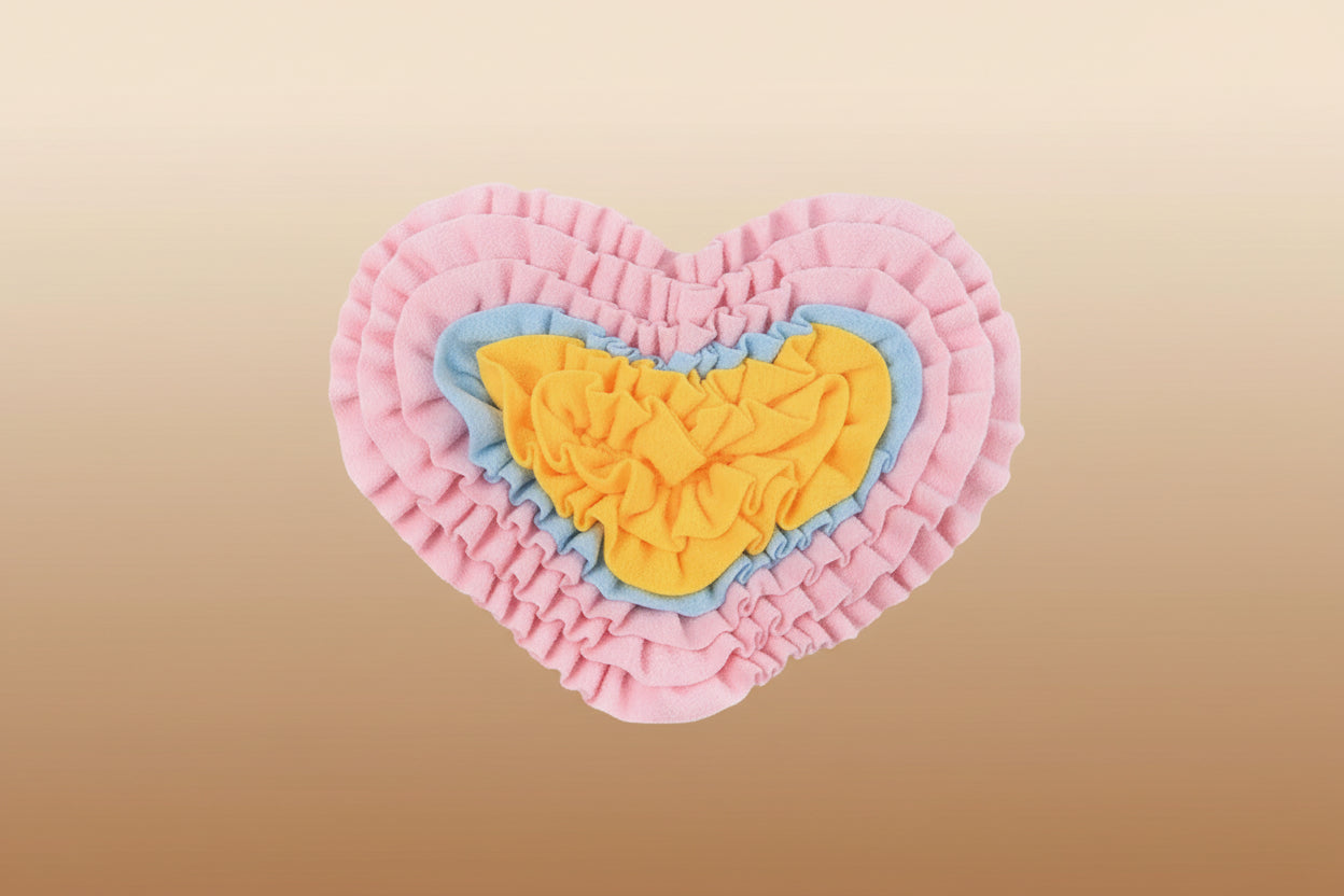 Heart-Shaped Snuffle Mat for Dogs | Interactive Enrichment Feeding Mat