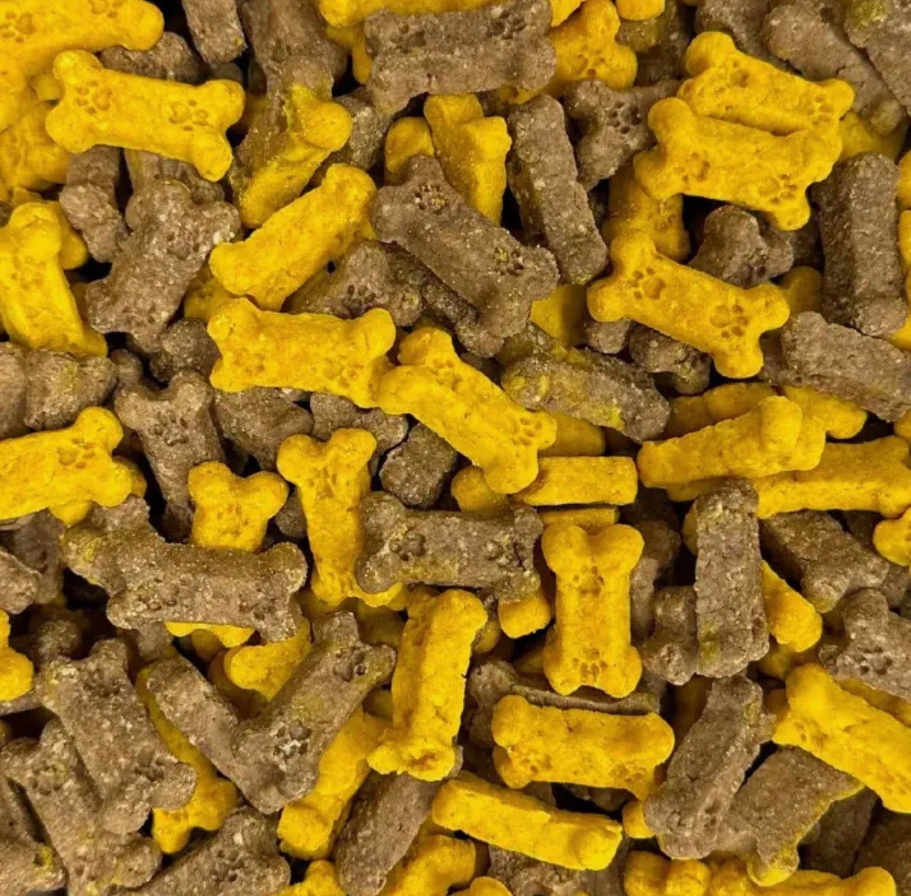 Bacon & Eggs Soft & Chewy Dog Treats by Pro Bakery Bites
