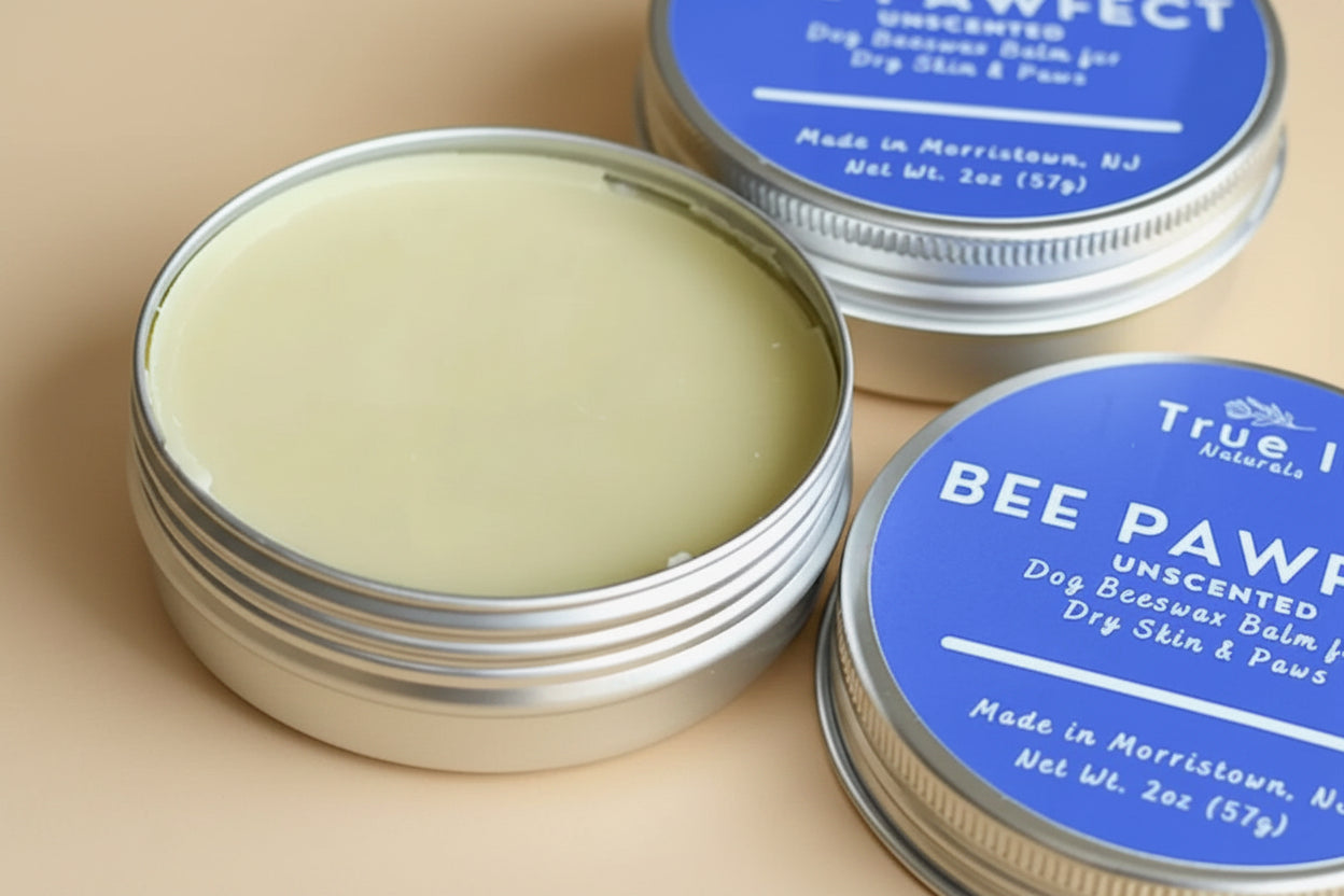 Bee Pawfect Dog Paw & Nose Salve by True It Naturals